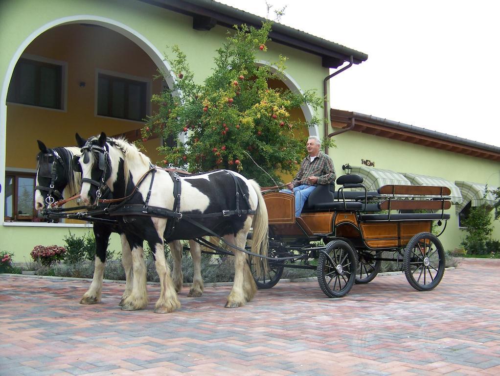 Agriturismo Nonna Rina Сан-Либерале Екстер'єр фото