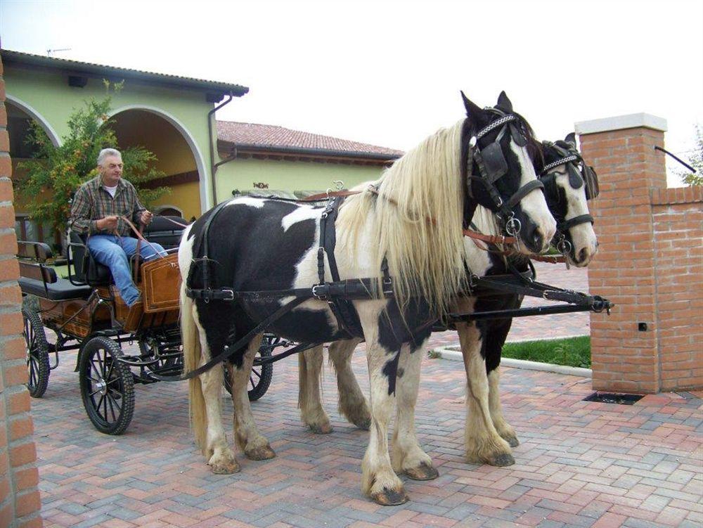 Agriturismo Nonna Rina Сан-Либерале Екстер'єр фото