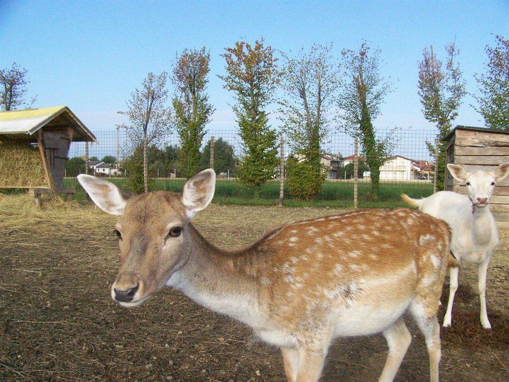 Agriturismo Nonna Rina Сан-Либерале Екстер'єр фото